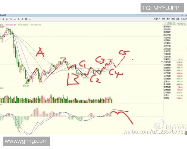 西安羽毛球队防守策略解析与战术创新探讨 西安羽毛球队防守策略解析与战术创新探讨