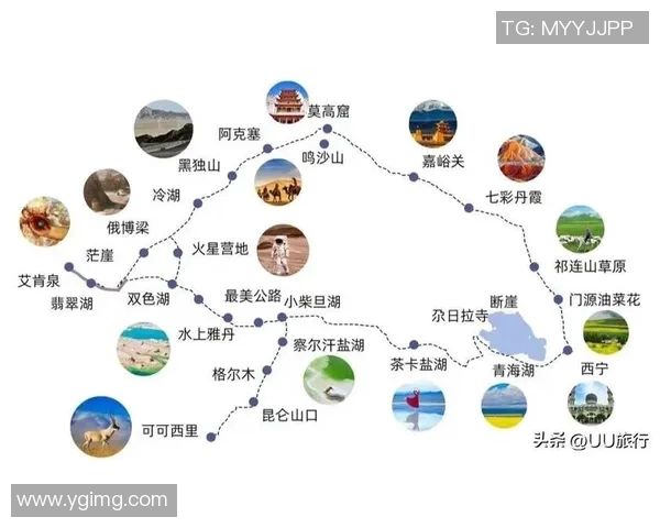 重庆网球队的节奏革新探索与发展之路全景解析
