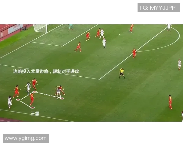 蚂蚁足球明星球员的成长之路与赛场精彩瞬间回顾 蚂蚁足球明星球员的成长之路与赛场精彩瞬间回顾