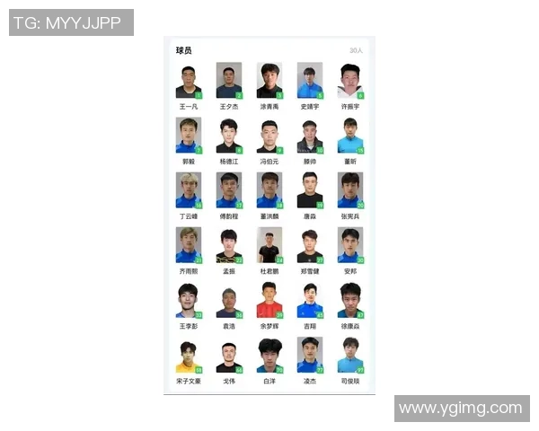 南京足球队个人能力排名创新高引发热议球迷期待新赛季表现