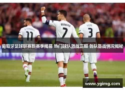 葡萄牙足球联赛新赛季揭幕 热门球队激战正酣 各队备战情况揭秘